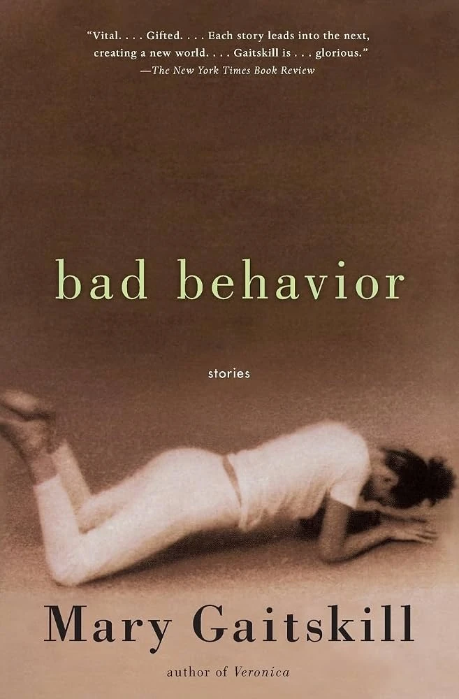 Cubierta de Bad Behavior de Mary Gaitskill, con fondo marrón